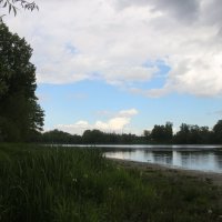 Стрельна. Орловский пруд :: Наталья Герасимова