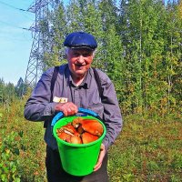 Осень...грибная! :: Владимир 