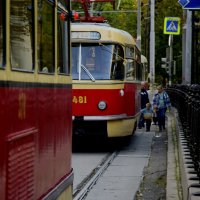 Трамвай :: Мария Яковлева