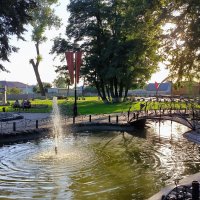 В городском парке. :: Ольга 