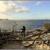 *** :: Aleksandr Gal