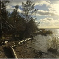 *** :: Aleksandr Gal