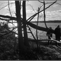 После урагана... :: Aleksandr Gal