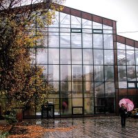 А в Аптекарском огороде дождь,,, :: Анатолий Колосов