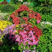 Прогулка по Москве.Краски сентября. :: Ольга Довженко Прогулка по Москве.Краски сентября. :: Ольга Довженко