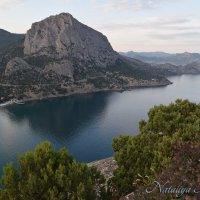 Природа Крыма :: Amazing Cosmea