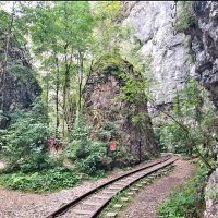 ГУАМСКОЕ УЩЕЛЬЕ :: Tata Wolf