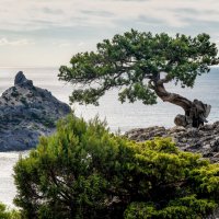 ***** :: Вячеслав К ***** :: Вячеслав К