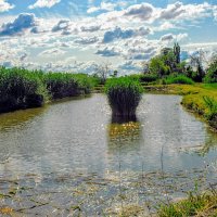 Лето. :: Владимир 