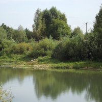У пруда... :: Freddy 97