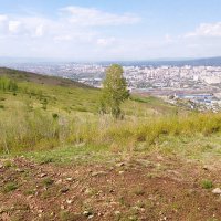 Титовская сопка. Вершина №1 :: Екатерина Панова