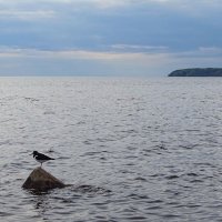 Белое море :: анна корнишина 