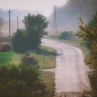 По дороге из Крыжино :: Sergei Vikulov