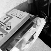 В чем сила, брат? Сила - в ньютонах... :: Maria Rainer