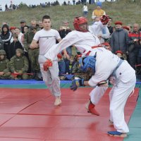 Ещё один удар.. :: Дмитрий Петренко