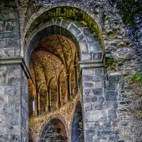 Руины хора монастыря Хайстербах :: Андроник Александр Руины хора монастыря Хайстербах :: Андроник Александр