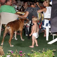 Каждому свое :: Аркадий Басович