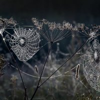 Утро 10 сентября. Царицыно :: Михаил Бибичков