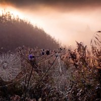 Утро 10 сентября. Царицыно :: Михаил Бибичков