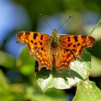 из вчерашней съёмки 5 :: Александр Прокудин из вчерашней съёмки 5 :: Александр Прокудин