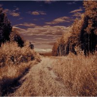 Июньский вечер ( инфракрасная фотография ) :: Валентин Котляров Июньский вечер ( инфракрасная фотография ) :: Валентин Котляров