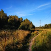 Бабье лето в ближнем Подмосковье :: Андрей Лукьянов
