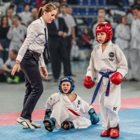 Теквондо :: SanSan 