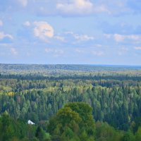 - :: Владимир Мигонькин - :: Владимир Мигонькин