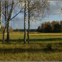 *** :: Aleksandr Gal