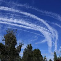 !!!!!! :: kolyeretka 