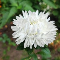 ,,, :: Сергей Тимоновский