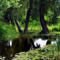 *** :: Анатолий Уткин