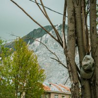 Кировск'25 :: Лана Пипякина Кировск'25 :: Лана Пипякина