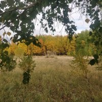 Осень.Краски природы. :: Андрей Хлопонин Осень.Краски природы. :: Андрей Хлопонин