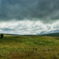 Плато Лаго-Наки, июль :: Игорь Сикорский