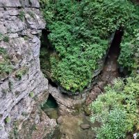 ГУАМСКОЕ УЩЕЛЬЕ :: Tata Wolf