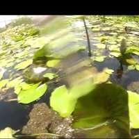 113 (89) :: CLOSE WAYS ALL