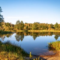 *** :: Игорь Чичиль