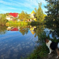 Софрино :: Наталья 