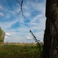 *** :: Валерий Михмель 