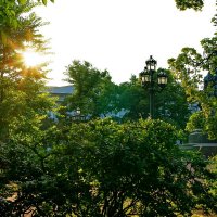 Солнце 5 :: Игорь Тельцов