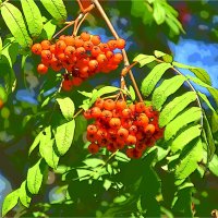 СЕНЯТБРЬ :: Юрий Владимирович 34 СЕНЯТБРЬ :: Юрий Владимирович 34