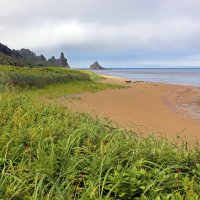 К берегу :: Владимир Соколов (svladmir)