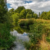 Осень она не спросит 8 :: Андрей Дворников Осень она не спросит 8 :: Андрей Дворников