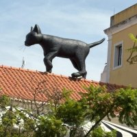 Кошара :: На-та-ша 