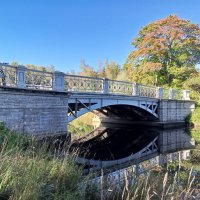 Осень :: Сапсан 