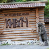 Заповедник Кивач. :: Alex 711402