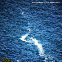 Морские облака :: Александр Чашин Морские облака :: Александр Чашин