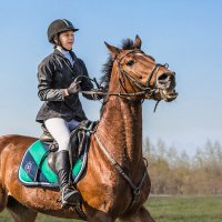 Конкур :: SanSan 