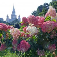 Ботсад МГУ :: Михаил Бибичков